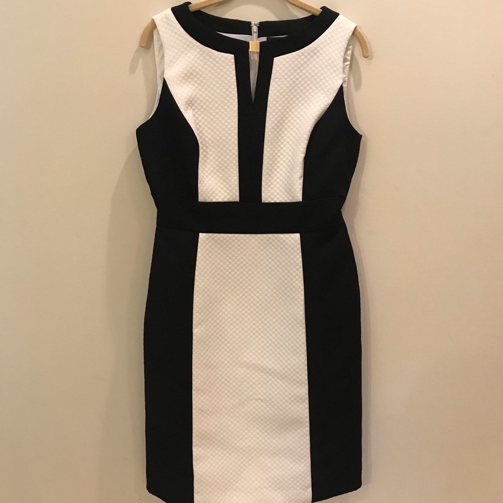 Tahari-Levine Studio Dress